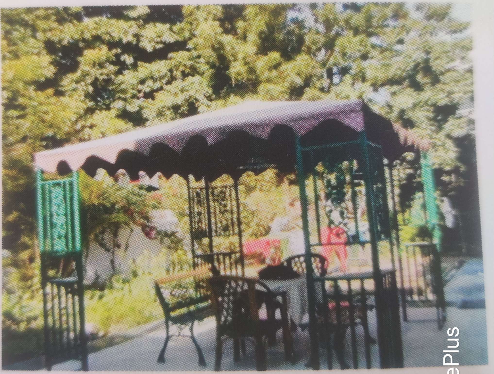 Our House- Chandigarh