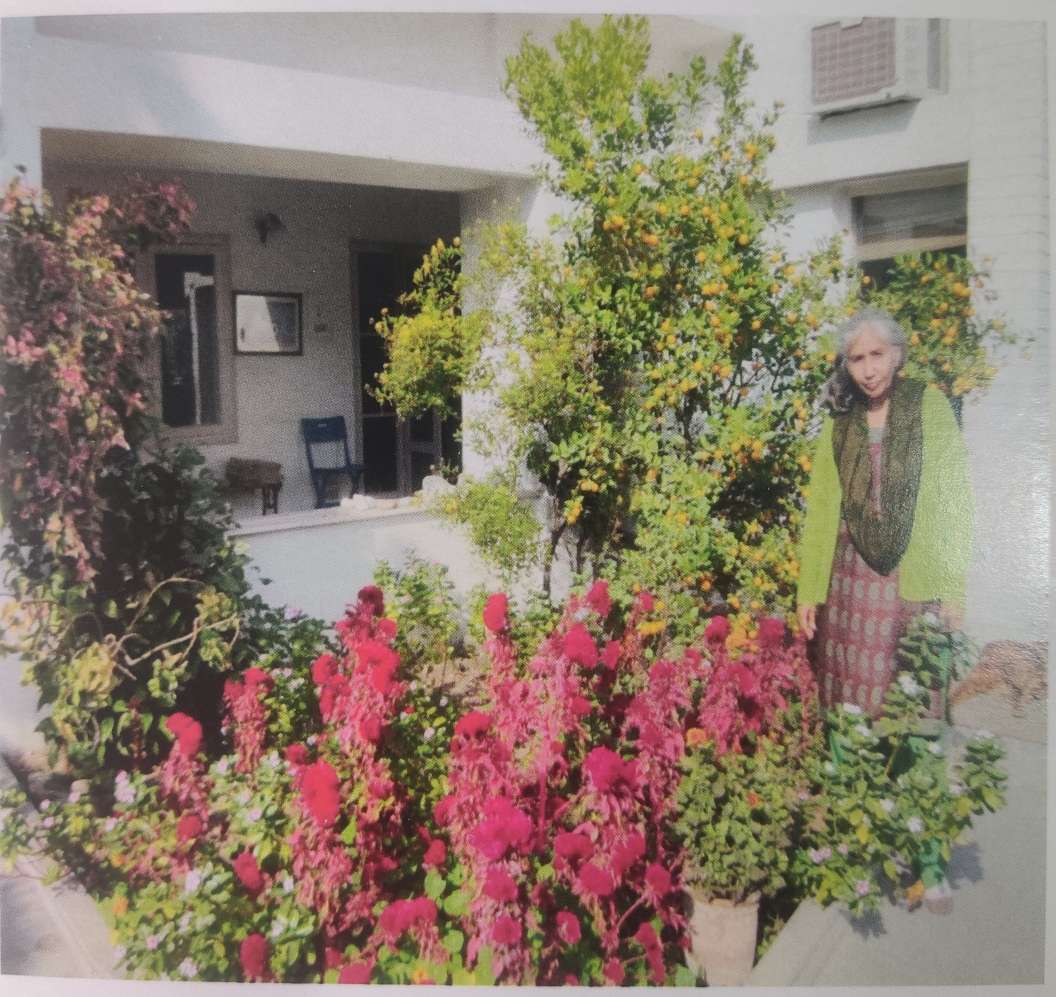 Chandigarh House- Livleen